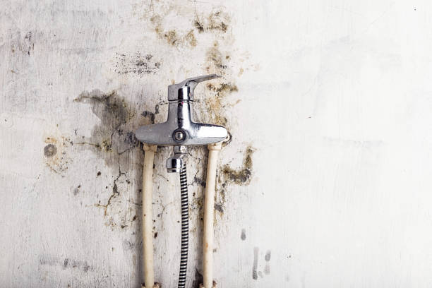 Best Mold Testing and Inspection Services in Vidalia, GA