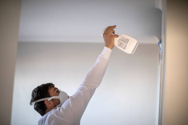Best Basement Mold Remediation in Vidalia, GA